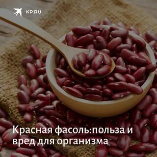 Польза и вред фасоли для организма человека