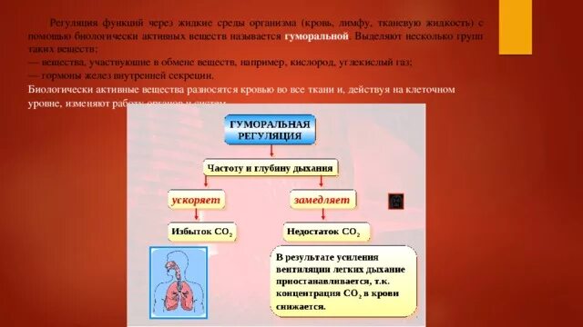 Регуляцией функций называется. Регуляция функций через жидкие среды организма. регуляция с помощью биологически активных веществ. гуморальная регуляция крови и лимфы осуществляется с помощью. гуморальная регуляция презентация 8 класс.