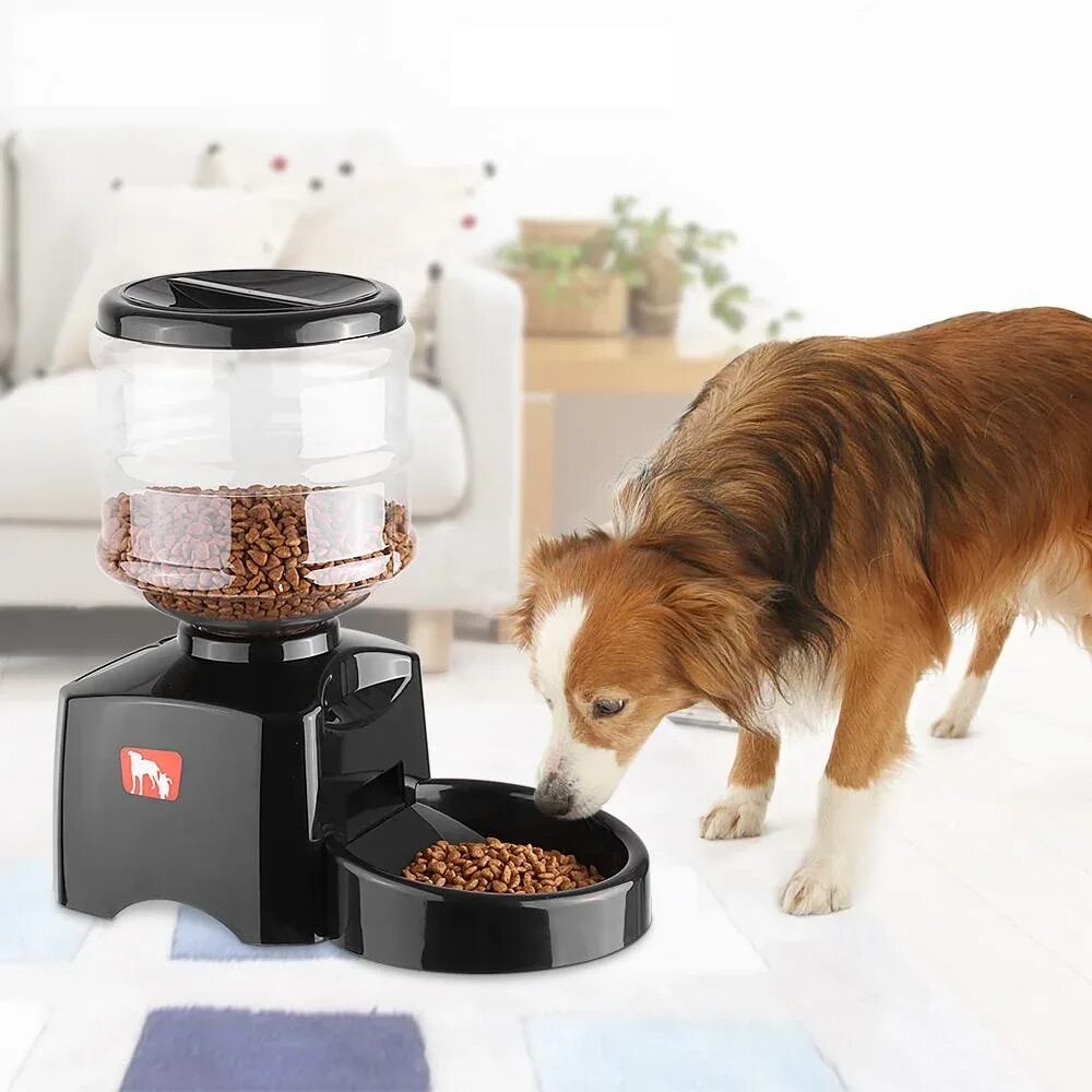 Automatic pet feeder. Автокормушки для собак Pet Feeder. Автокормушка SF-19. Дозатор корма для питомцев 4000g. Автокормушка для кошек с таймером и дозатором 4 l.