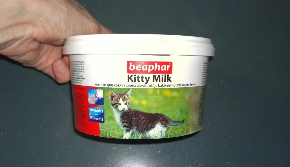 Lora kitten milk. Беафар молочная смесь для котят. лактол беафар для котят. beaphar kitty milk. беафар молоко для котят.