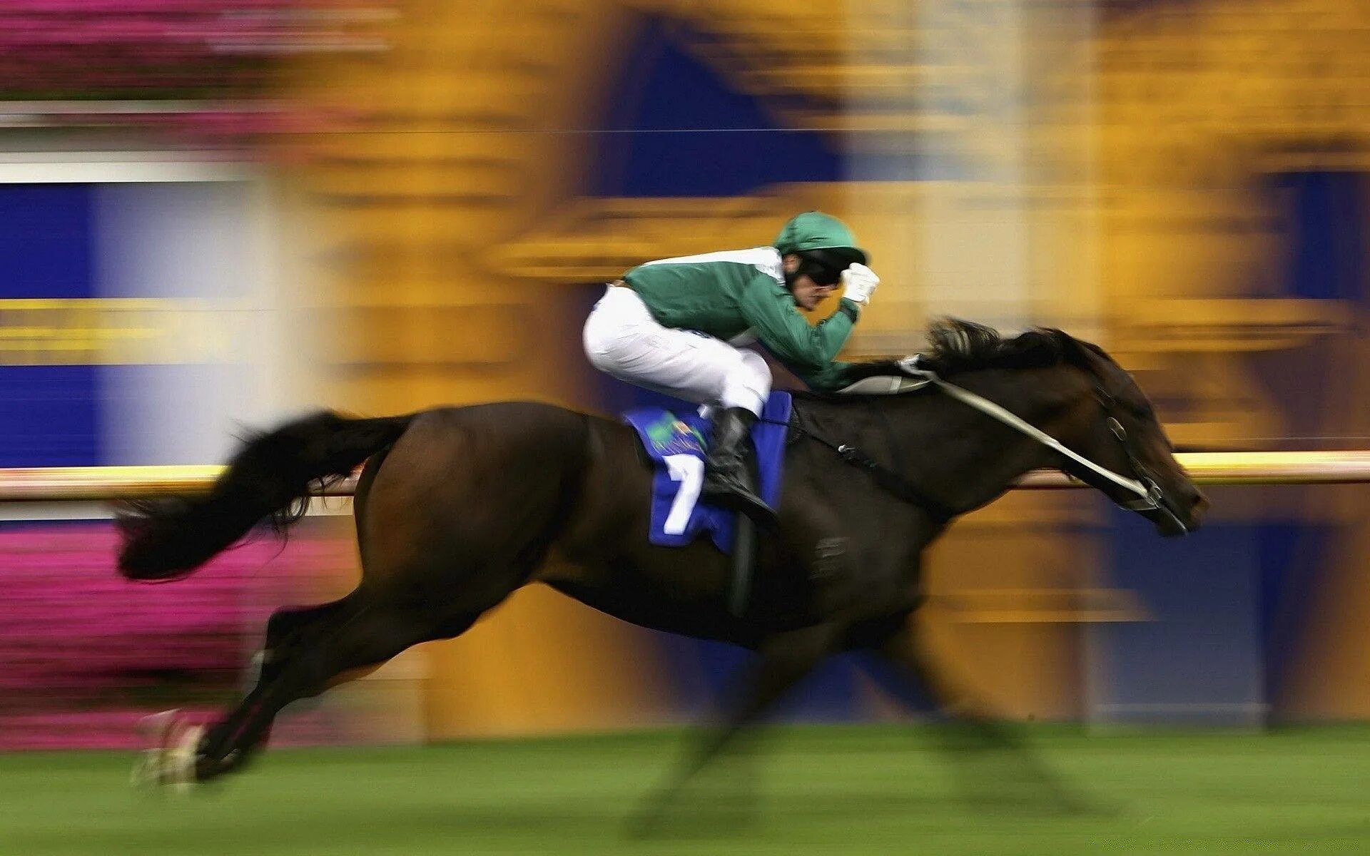 Horse sport. Фрэнк Хейс жокей. Жокей наездник. Лошадь бежит. Наездник на лошади.