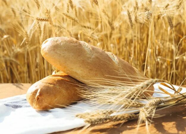 Bread wheat