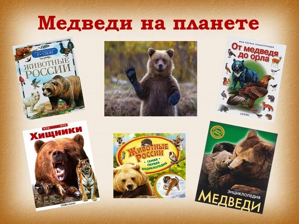 Когда день медведя. 13 декабря отмечается день медведя. день медведя в библиотеке. праздник медведя в россии. день медведя мероприятия.