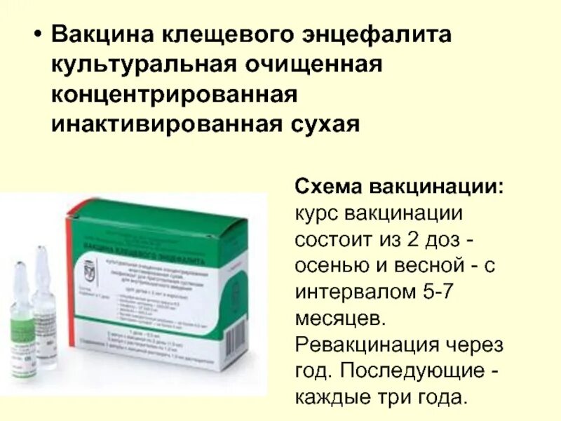 Вакцина клещ эвак. Вакцина клещевого энцефалита схема вакцинации детям. Постановка прививки против клещевого энцефалита схема. Клещ-э-ВАК схема вакцинации детям. Прививка о клещевого энцефалита схема вакцинации.