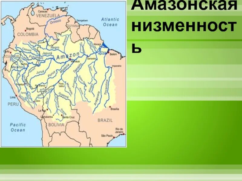 Амазонская низменность. Амазонская низменность на карте. Амазонская не зменность на карте. Ариионская неизменность на карте. Средняя и максимальная абсолютная высота амазонской низменности