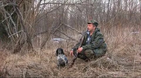 Охотничьи инстинкты на русском