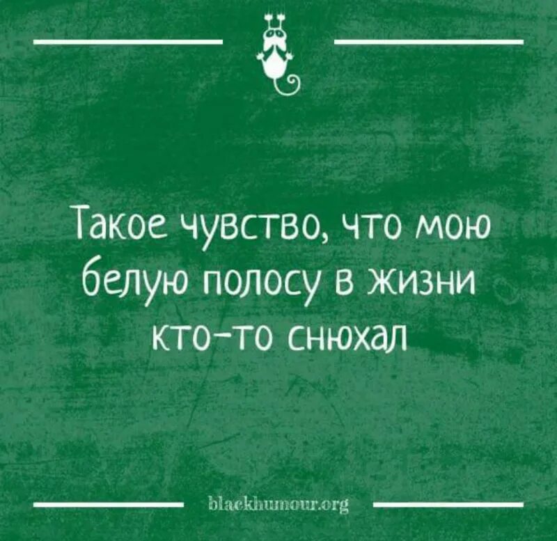 Такое ощущение что мою белую полосу кто то снюхал. Белую полосу в моей жизни кто то снюхал. Анекдот про белую полосу в жизни. Чувство.