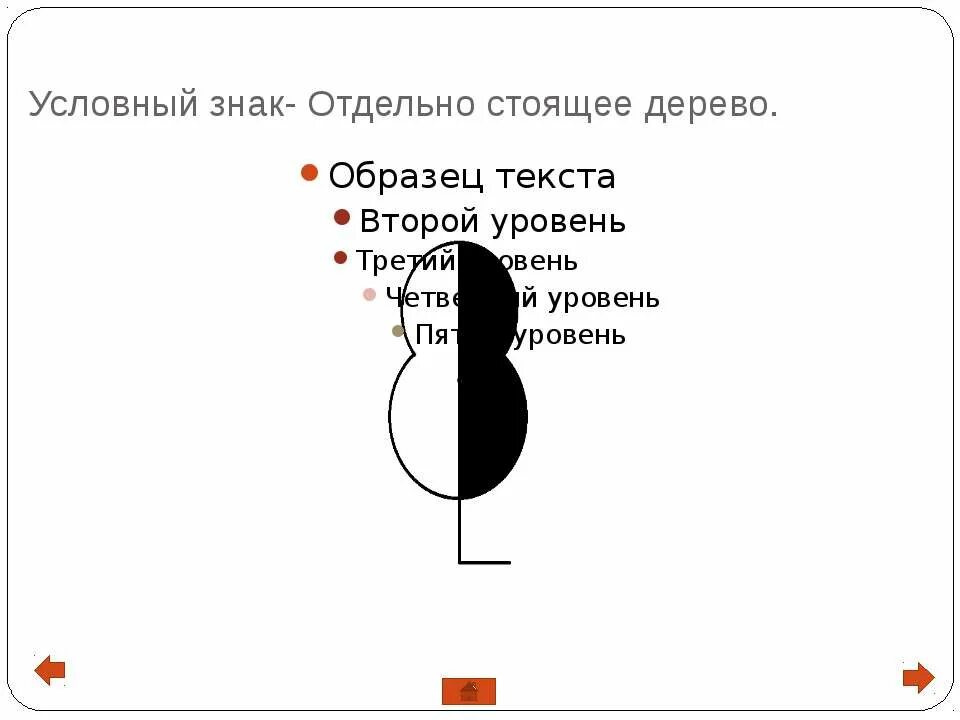 Условные знаки деревьев. Знак отдельно стоящее дерево. Отдельно стоящее дерево условный знак. Топографический знак отдельно стоящее дерево. Отдельно стоящее дерево обозначение на карте.