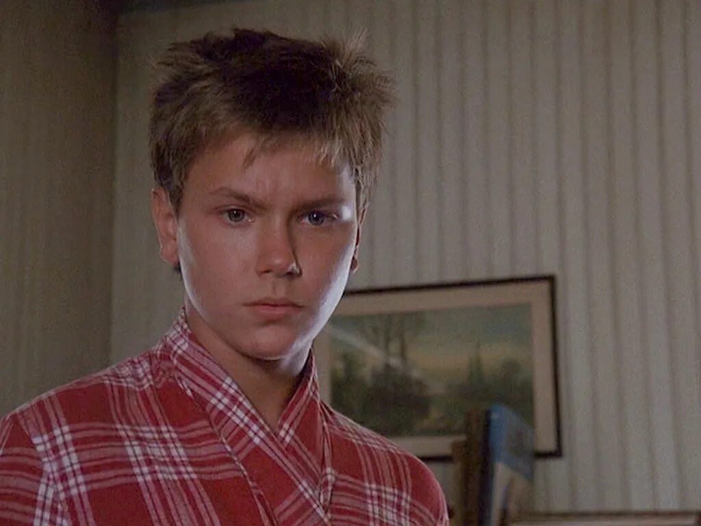 Берег москитов 1986. Ривер феникс берег москитов. берег москитов сериал 2025. побережье комаров фильмы.
