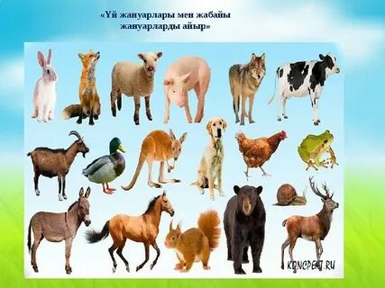 Бердянскіде түндейтін жезөкше тауып бер