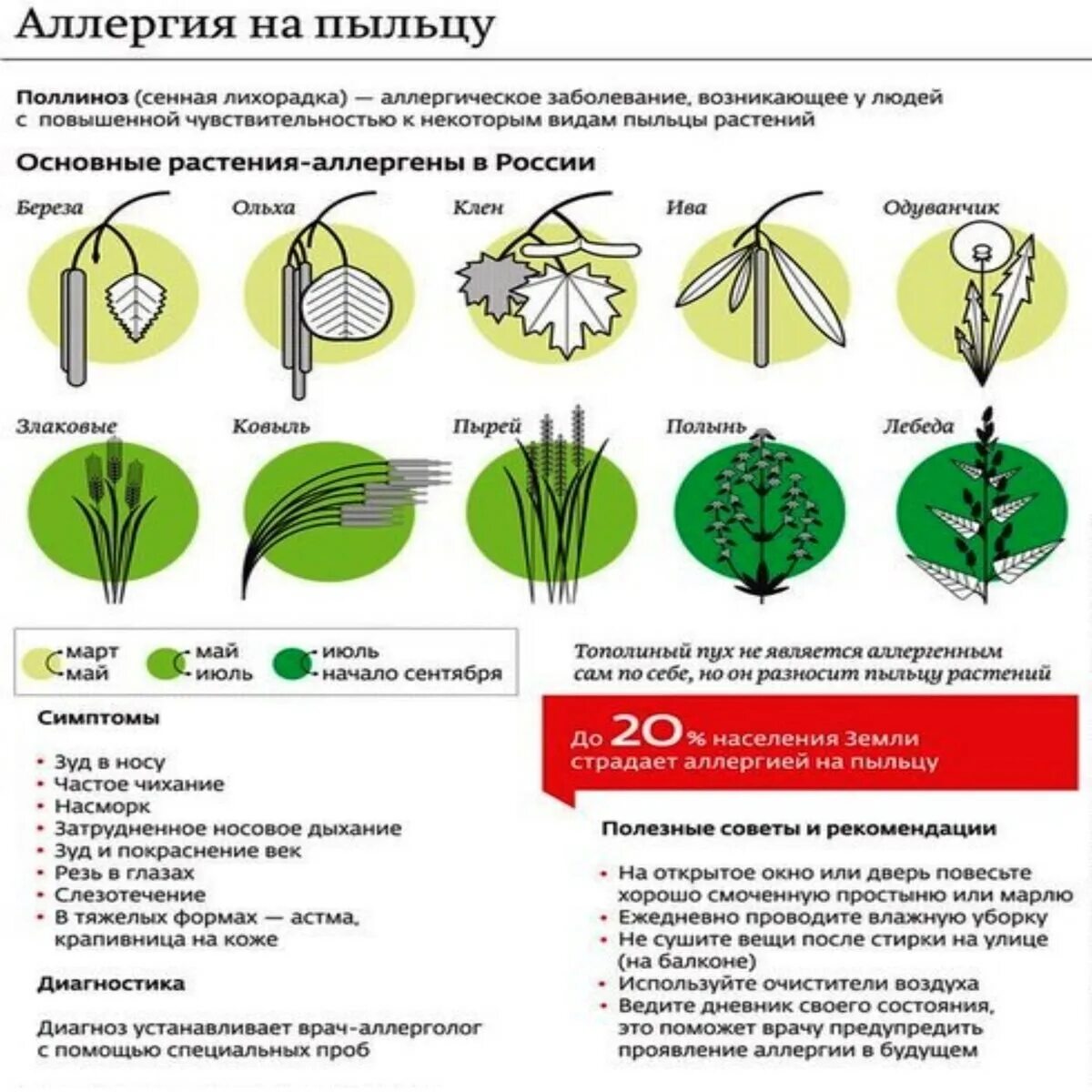 Симптомы аллергии на цветение весной у взрослых