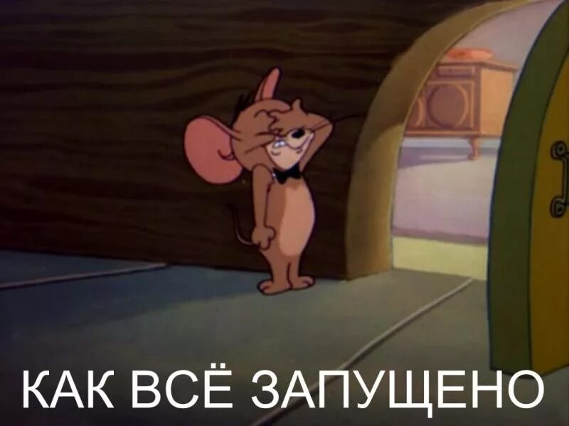 Как все запущено то. Джерри мем. как все запущено. рукалицо том и джерри. том и джерри мемы.