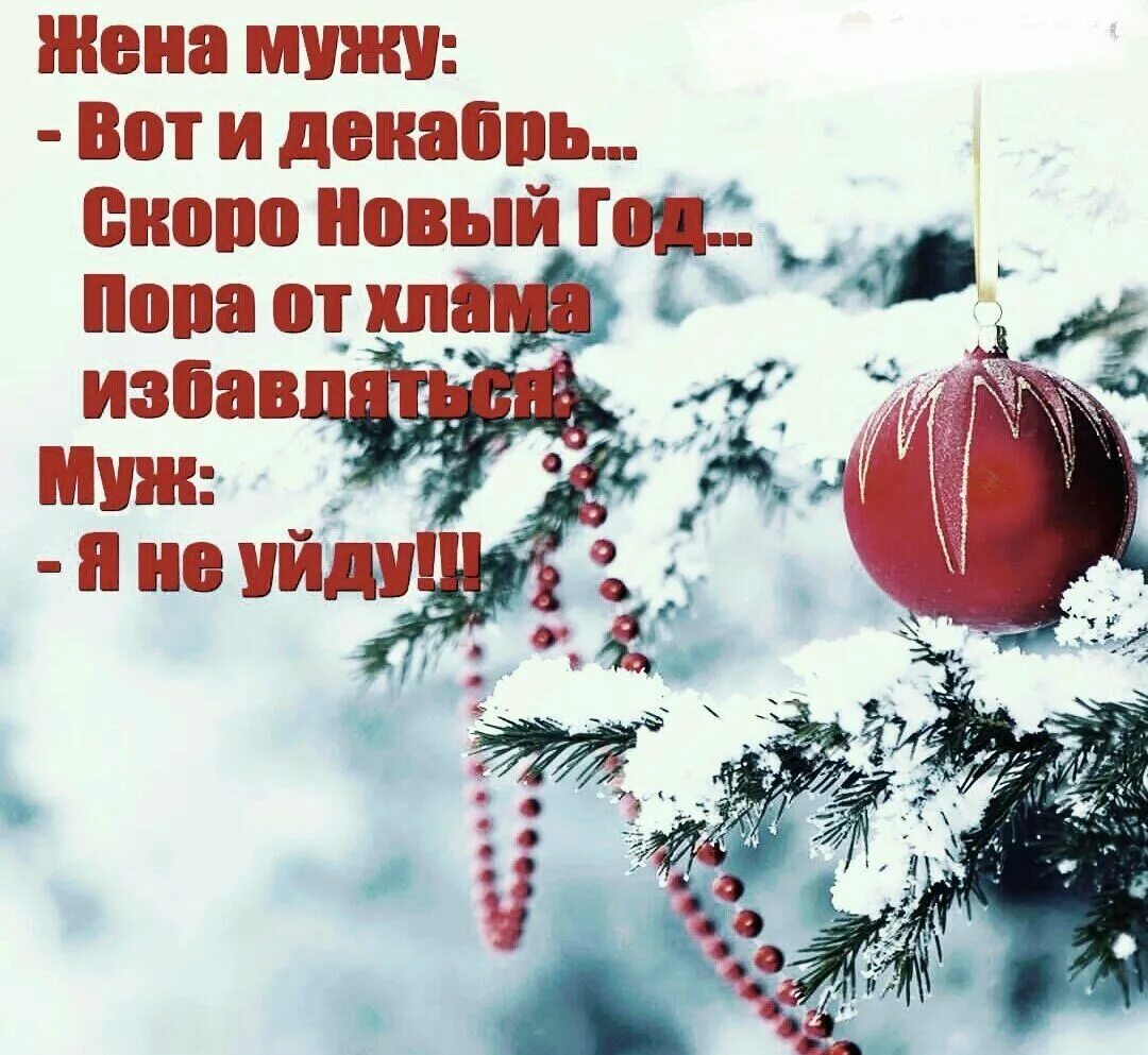 Декабрь цитаты. Цитаты про новый год. новогодние цитаты. скоро праздник новый год. новогодние афоризмы.
