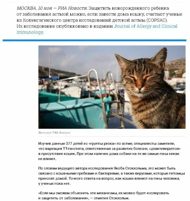 Сколько весит мейн кун в 4 месяца. Вес беспородных котов. вес кота в 6 месяцев беспородная. вес кошки в 2 года беспородная. мейн-кун сколько весит.