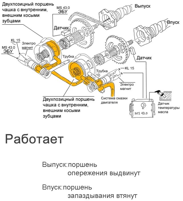 Клапана ванос n54 как снять Чистка клапанов Vanos N52 BMW 5 series (E60), 2,5 л, 2006 года плановое ТО DRI