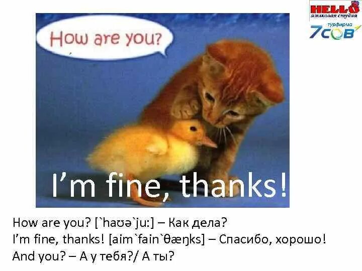 How are you i'm Fine thanks. Im Fine thanks. Im Fine thank you. Перевод how are you? Fine.