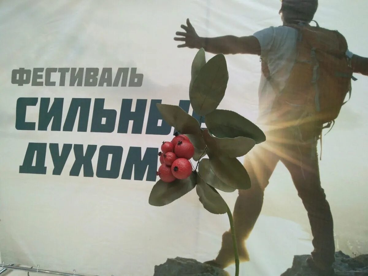 Сильный духом человек какой он. Сильная духом это какая. Человек сильного духом человека. Будь сильным духом. Сильная духом это какая.
