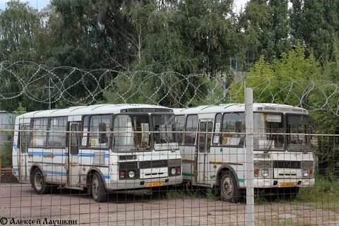 Аис 36 воронежская область