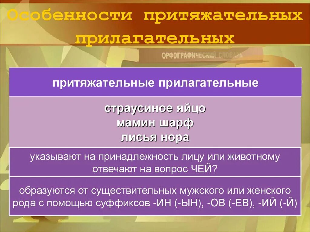 10 притяжательных слов. Притяжательные прилагательные. Притяжательные прилагательные на ий. Притяжательные прилагательные презентация. Суффиксы притяжательных прилагательных.