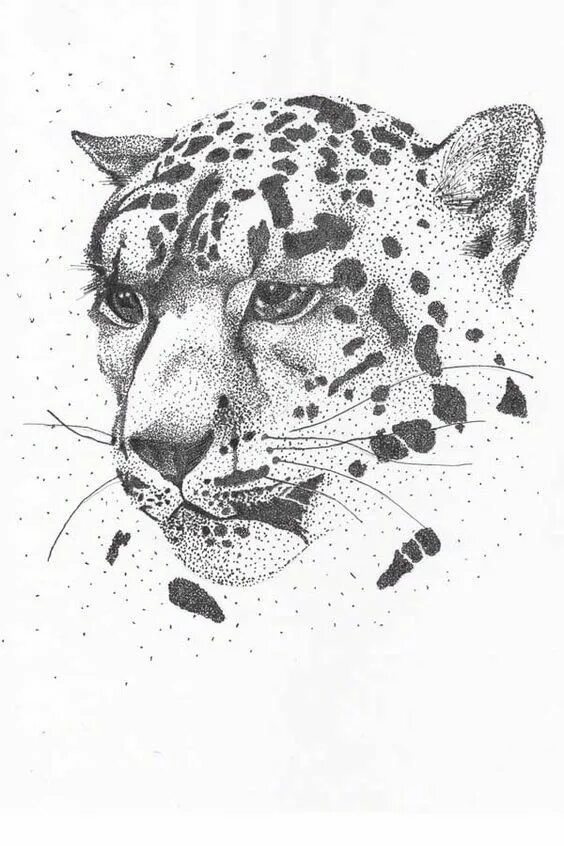 Amazing drawn bunnies! Rabbit drawing, Rabbit, Animals