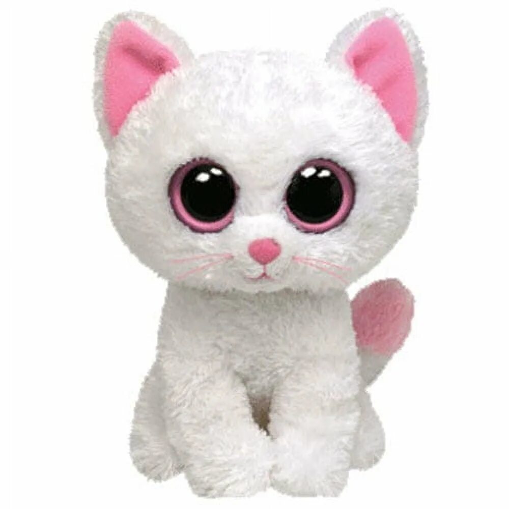 Купить милашку. Игрушки ty бини бэби. Мягкая игрушка ty Beanie Boos рысёнок Buckwheat 15 см. Ty Beanie Boo's котенок. Глазастики Beanie Boo's.