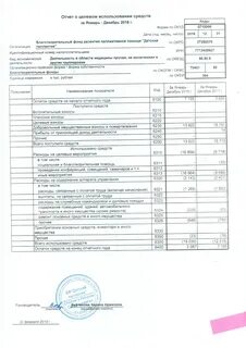 Отчет о целевом использовании полученных средств форма