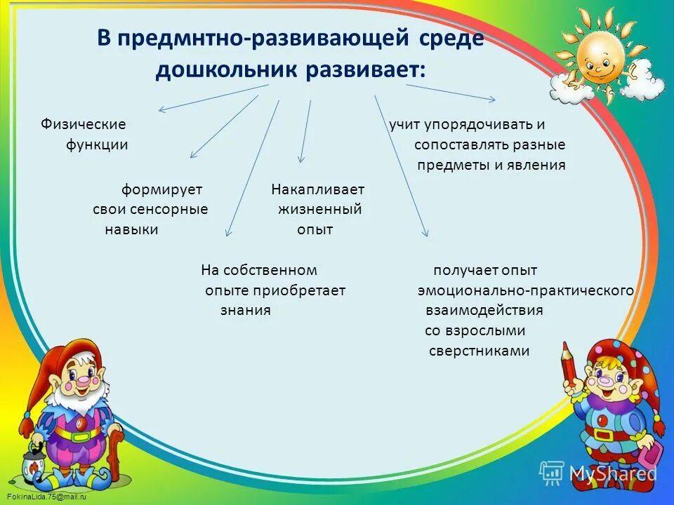 Функция развивающей среды. Функция развивающей среды