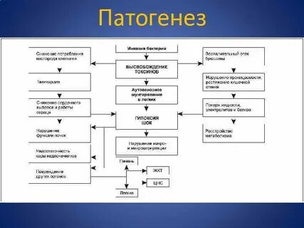 Патогенез перитонита