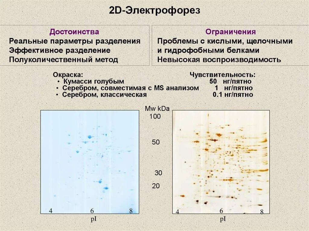 Электрофорез лечебная гальванизация схема. Электрические токи физиотерапия. Схема проведения электрофореза днк в агарозном геле. 2д гель электрофорез. Электрофорез серебром.