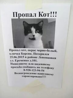 Пропать