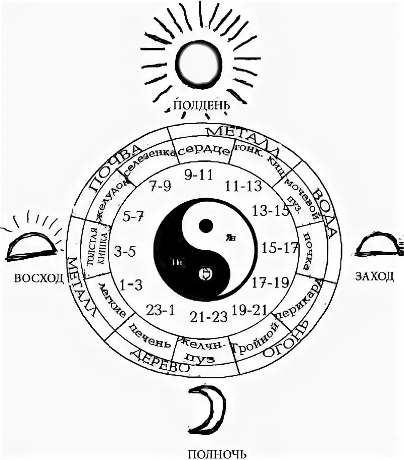 Схема циркуляции энергии Ци. Полдень полночь. Циклы энергии человека. Что такое энергия Ци в китайской медицине. Midnight noon