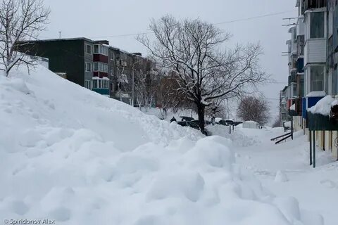 Петропавловск камчатский в феврале