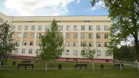 Црб лида