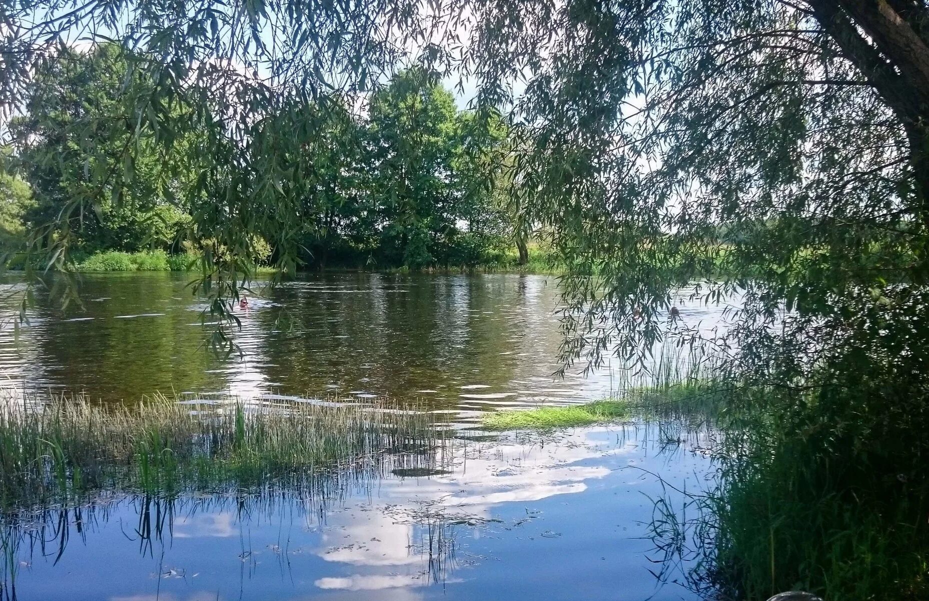 Пляж Лимпопо Ступино. Пляж Лимпопо Ступино Воронеж. Рамонь Ступино пляж Лимпопо. Пляж Лимпопо Рамонь.