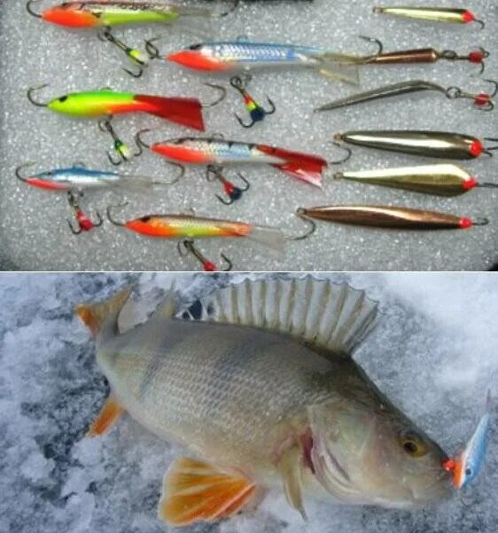 Imagens de Crappie Fishing - Explore Fotografias do Stock, Vetores e Vídeos de 1