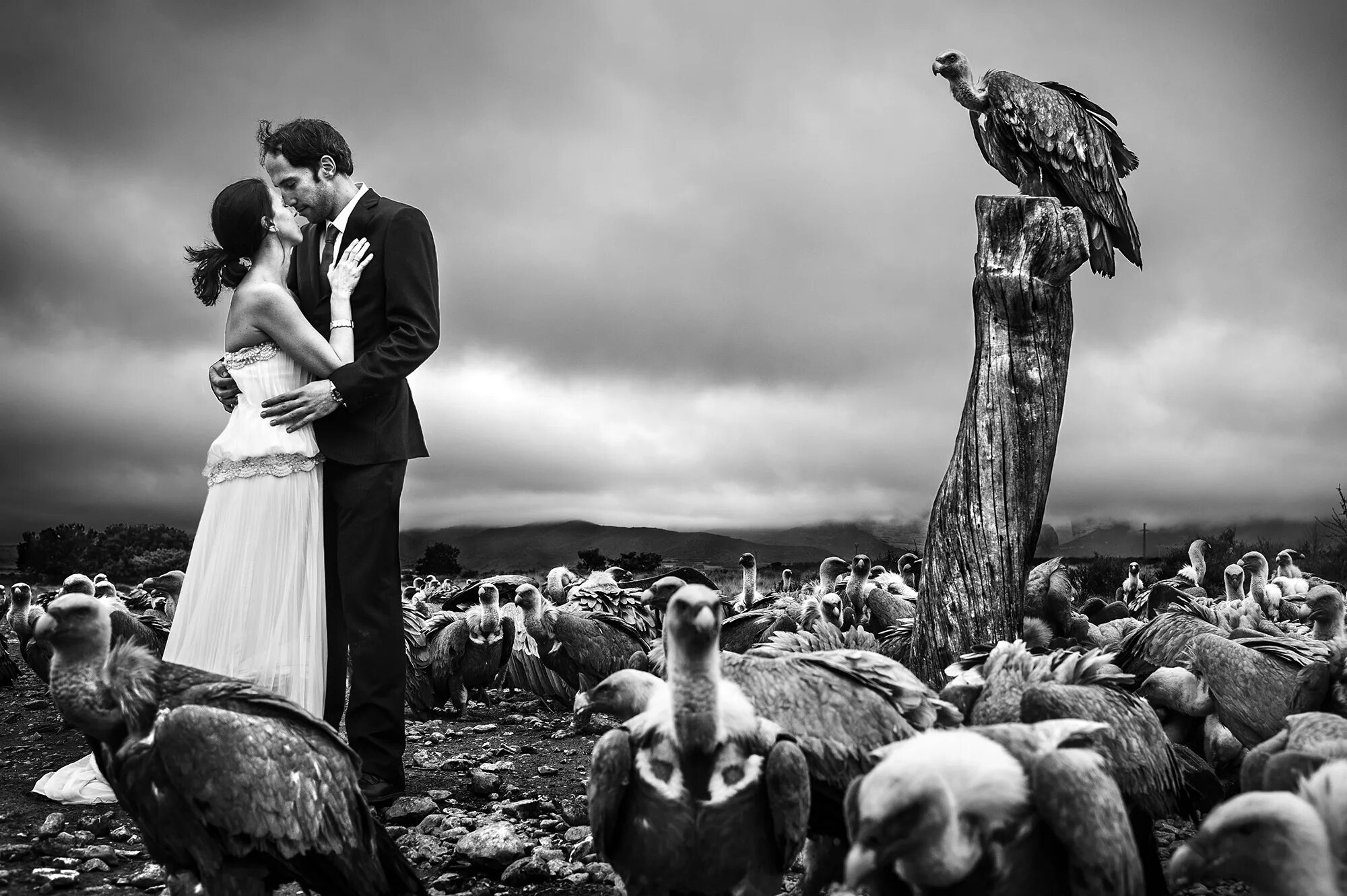 Легендарные фотографы. Фотограф ева арнольд михаил барышников. Марк рибу. Легендарные фотографы. Великие фотографы современности книга.