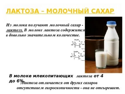Есть ли лактоза в кисломолочных продуктах