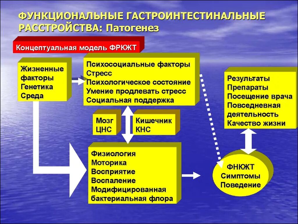 Заболевание функциональное отклонение. Функциональные гастроинтестинальные расстройства:. Функциональное расстройство желудочно кишечного тракта. Функциональные заболевания желудочно-кишечного тракта. Функциональные расстройства ЖКТ.