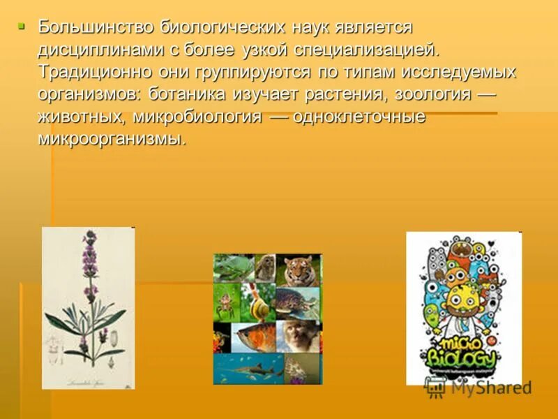 Зачем биология. Необходимость изучения биологии. Почему надо знать биологию. Зачем нам нужна биология. Узкая специализация биология.