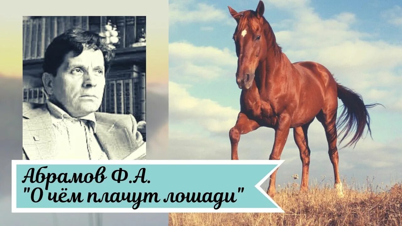 Фёдор Абрамов о чём плачут лошади. Фёдор Абрамов с лошадью. Ф Абрамов о чём плачут. Рассказчик о чем плачут лошади