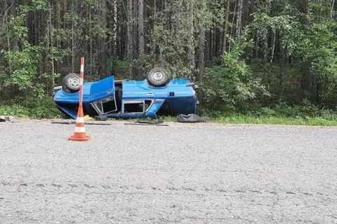 Дтп муромцево омск