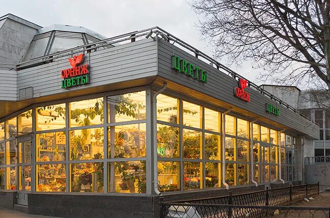 Orange школа английского языка. Центральный салон цветов оранж. Оранж санкт-петербург. Оранж магазин цветов. Цветочный магазин оранж благовещенск.