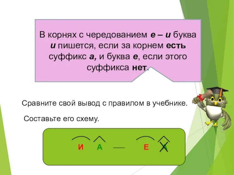 Какие корни с чередованием е и. Буквы е и и в корнях с чередованием. Е-И В корнях с чередованием 5 класс. Буквы е и и вкорнес чередванием.