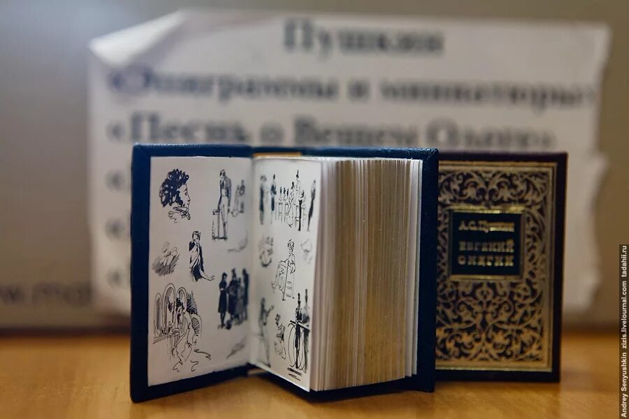 Современные маленькие книги. Современные маленькие книги. Современные маленькие книги. Современные маленькие книги. Миниатюрные книжечки.