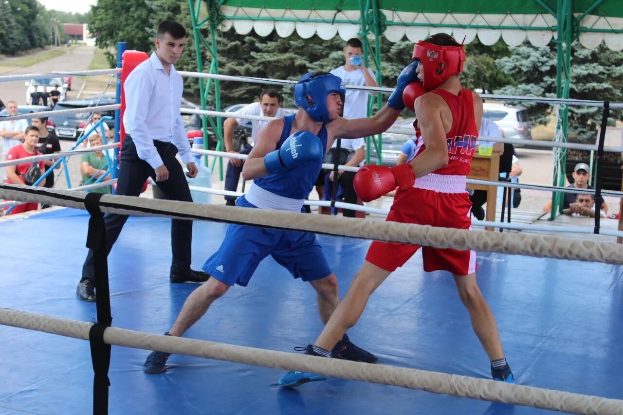 Наклейки бокс. Боксёр днр. Бокс. Старший тренер юниорской сборной по боксу. Школа бокса днр.