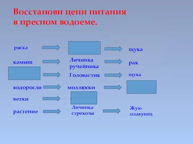 Цепи питания в водоеме 3 класс. Цепь питания пресного водоема. Цепь питания в пресных Водах 4 класс окружающий мир. Цепт питание в врдоеме. Составить пищевую цепь озера