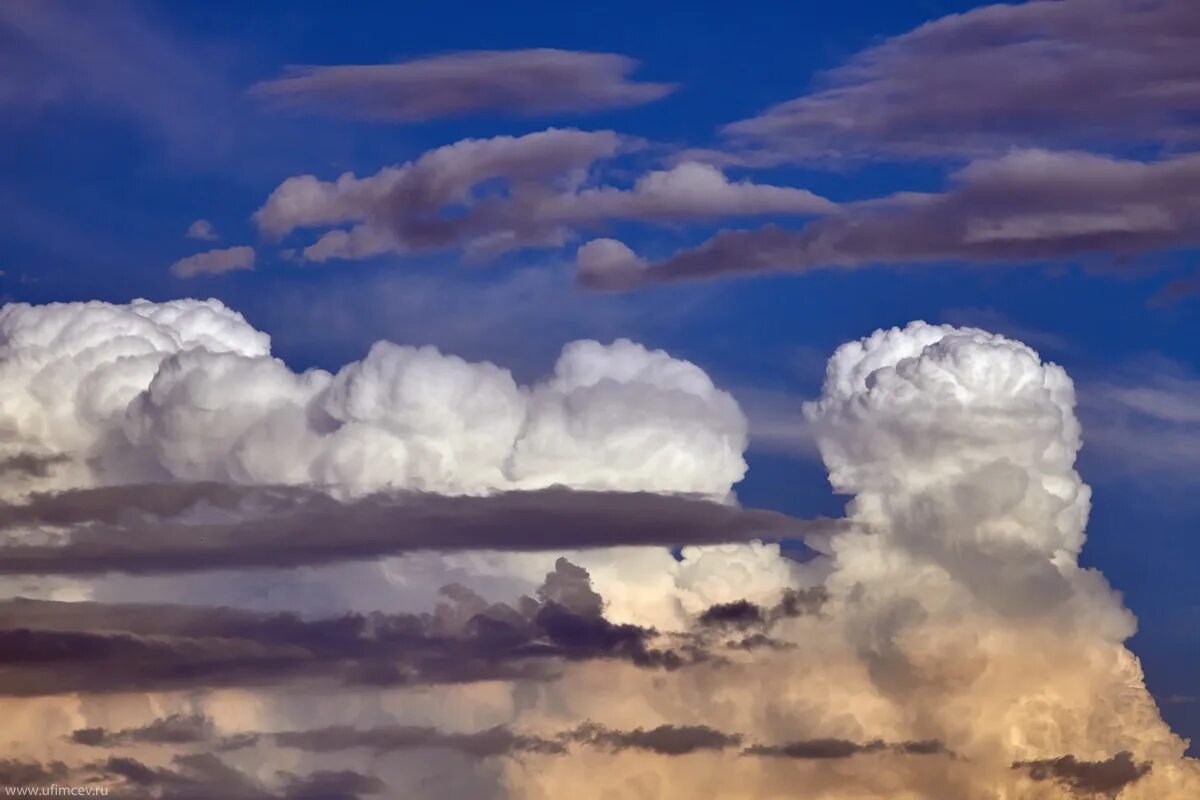 слоисто-кучевые (stratocumulus, sc). роберт генри кучевые облака. облака stratus cumulus. кучевые облака. облака перистые перисто слоистые высококучевые.