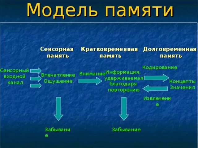 Выберите долговременную память. Выберите долговременную память
