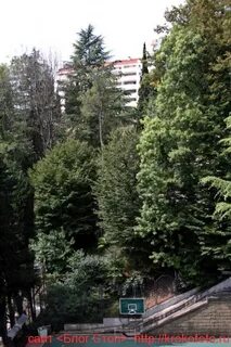 Г хоста санатории