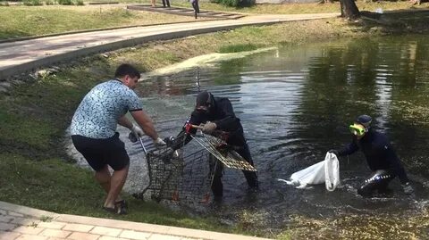 В воронеже поднял